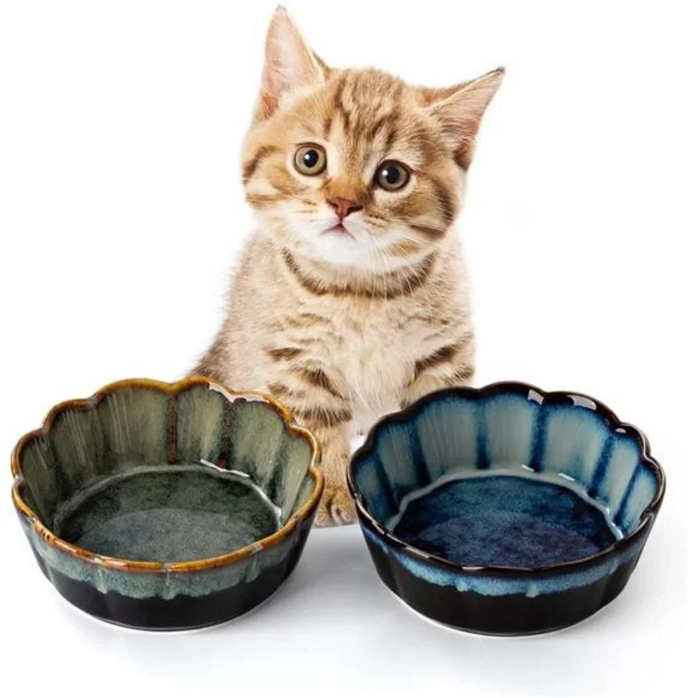 Ceramic Cat Bowls,5 Inch Cat Bowls for Food and Water (Blue/Green-2 Packs)